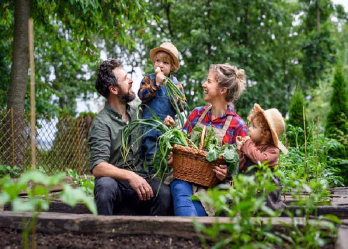 Simpasina Unlocking the Secrets of Sustainable Living