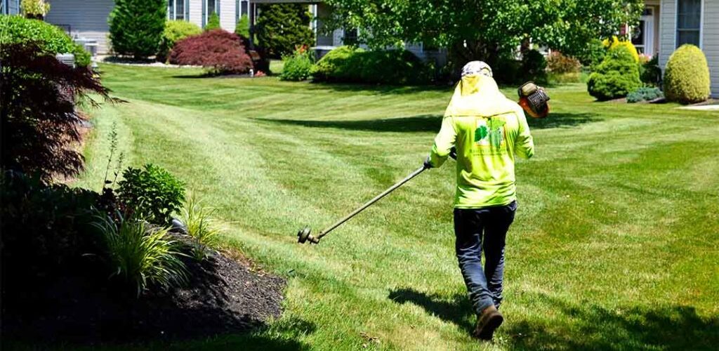 lawn maintenance and landscaping