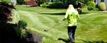lawn maintenance and landscaping